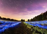 sample_640x426---kopia-(2)