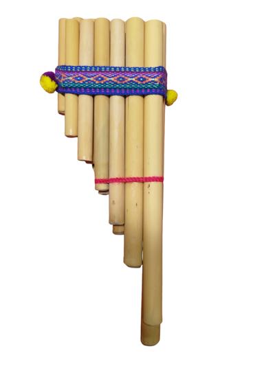 Zampona Azul